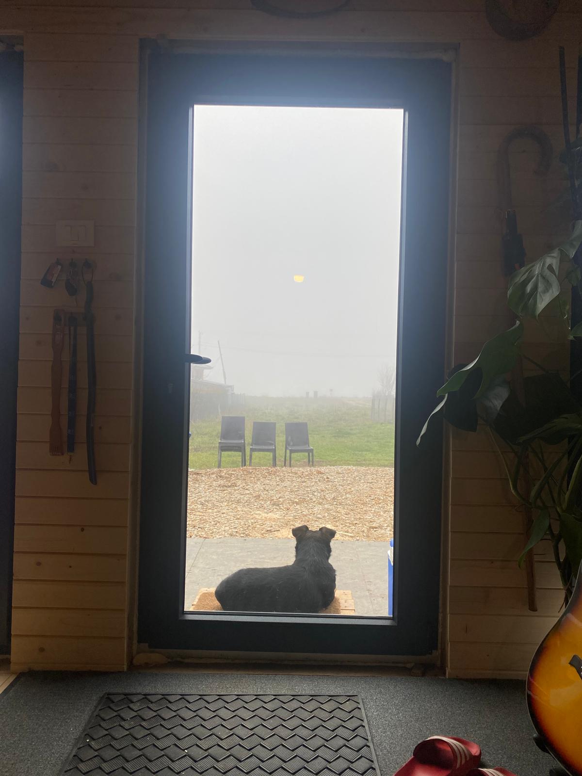 Life in Kosovo - Image 4